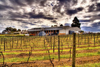 Winery