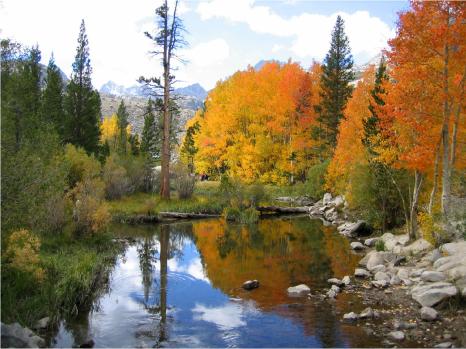 Lake Sabrina, Fall