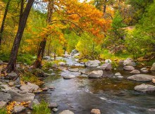 Sedona Foliage on a Cloudy Fall Day