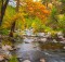 Sedona Foliage on a Cloudy Fall Day